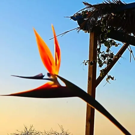 Casita En El Campo Con Vista Al Oceano